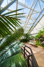 Rainforest Greenhouse With Bench, Path, And Glass Roof