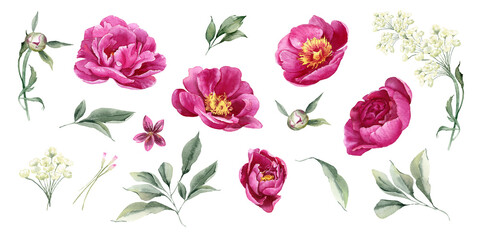 Pink peony watercolor flowers clipart. Floral set of separated elements. Watercolour hand painted arrangement for greeting card, invitation, decoration. Illustration isolated on white background