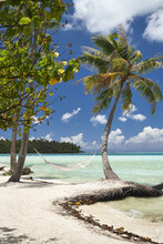 Hammock Between Palm Trees On Tropical Island 