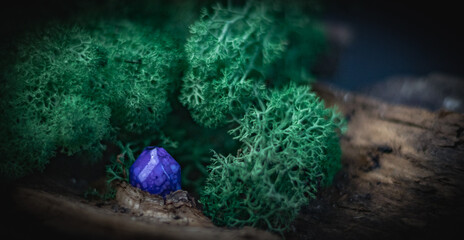 One small lilac natural stone lies in the bark of a tree with green moss on a black