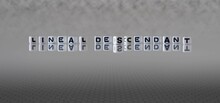 Lineal Descendant Word Or Concept Represented By Black And White Letter Cubes On A Grey Horizon Background Stretching To Infinity