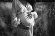 black and white photo of a young woman in a dress wrapped her arms around her pregnant belly. body of pregnant woman in white dress closeup 