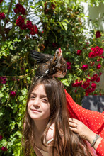 Girl Posing With Chicken On Head At Garden