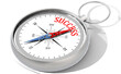© tang90246 - Direction to success on isolated compass