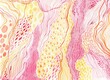 © Liliya Rodnikova/Stocksy - Pink and yellow watercolor abstract art
