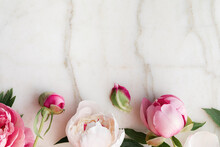 Peonies On Marble Background