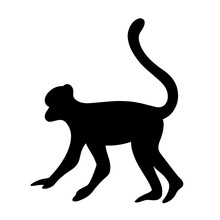 Monkey Silhouette Clipart Free Stock Photo - Public Domain Pictures