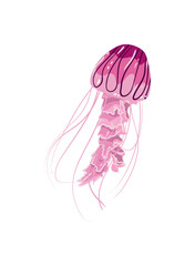 Canvas Print - flat colorful jellyfish