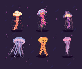 Wall Mural - six flat jellyfishes