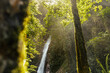 © Luis Herrera/Stocksy - Rainforest Landscape With a waterfall