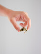 © Marta Locklear/Stocksy - Tiny turtle being held