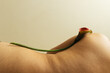 © Sophia Hsin/Stocksy - Still life of calla lily on human body