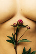© Sophia Hsin/Stocksy - Peony on bare stomach with hint of cleavage