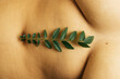 © Sophia Hsin/Stocksy - Leafy stem on bare abdomen