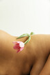 © Sophia Hsin/Stocksy - Tulip balanced on bare skin and curves