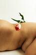 © Sophia Hsin/Stocksy - Tulip balanced on bare skin and curves