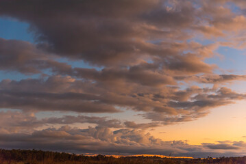 Wall Mural - Pink, purple pastel sunset in Queensland, Australia. Great for sky replacement, editing. 