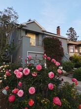 Pink Roses Bloom In Front Of A House