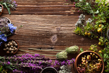 Natural medicine background. Assorted dry herbs in bowls and plants on rustic wooden table.