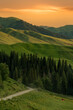 sunset in mountains with forest and grassland