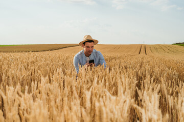 Wall Mural - Happy farmer using mobile phone while standing in his growing wheat field.	