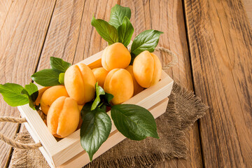 Wall Mural - large juicy apricots in a wooden box with rope handles on a village table. seasonal fruits. ingathering.