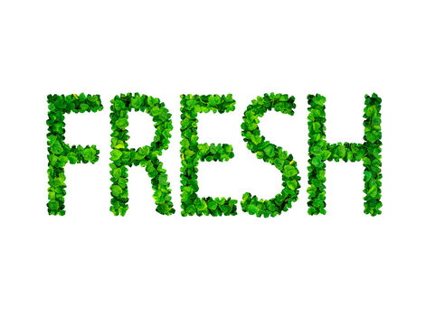 A bright company sign on a blue background. Letters of the white and green alphabet.