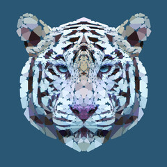 Tigers vector mosaic portrait. Polygonal white tiger head. Tiger. Geometric white tiger. Polygonal colored illustration. Animal in low poly. Vector illustration for logo, icon, background