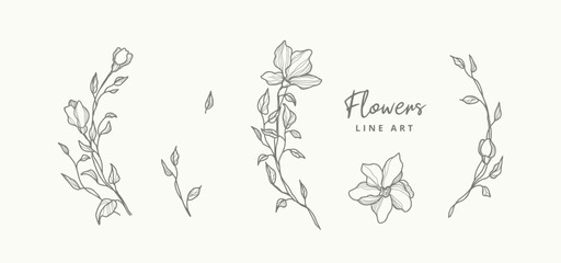 Wall Mural - Delicate line art floral elements for wreaths frames. Hand drawn flowers. Botanical logo. Vector illustration for labels, branding business identity, wedding invitation