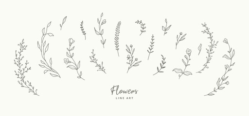 Wall Mural - Delicate line art floral elements for wreaths frames. Hand drawn flowers, branches, leaves, plants, herbs. Leaf logo. Vector illustration for labels, branding business identity, wedding invitation