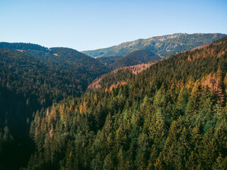 Wall Mural - a great view on italian mountains