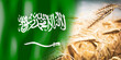 Saudi Arabia - flag and ripe rye field - crops, cereal, harvest concept