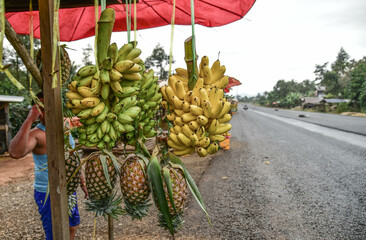 Wall Mural - Bananas and pineapples are hung for sale along the Bolaven Plateau in southern Laos.