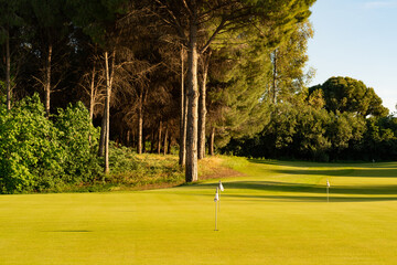 Wall Mural - Practice golf course with multiple holes with flags