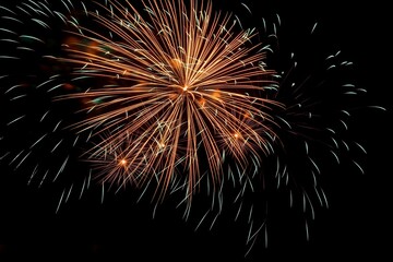 Poster - Bright festive fireworks. Explosions of pyrotechnics against the black night sky.