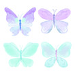 Watercolor purple and blue butterfly set. Vector illustration