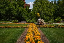 Beautiful Shot Of The Smithsonian Castle Garden In Washington DC On A Sunny Day