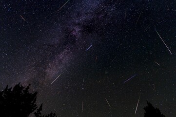 Poster - Beautiful night scene of the Geminid Meteor Shower with starry sky