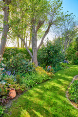 Vibrant garden setting with flowers, plants and a lush lawn with green grass. Beautiful sunny outdoor yard on a relaxing day in summer. Nature view of large trees and blooming flora in a park