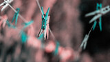 Fototapeta  - Kolorowe spinacze na sznurku
