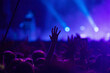 canvas print picture -  crowd partying stage lights live concert summer music festival