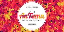 Autumn Sale Background With Colorful Leaves