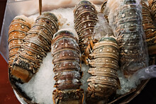 Lobster Tails On Ice At A Fresh Fish Market In Seattle