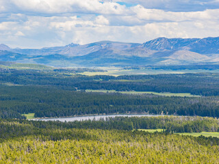 Wall Mural - Sunny beautiful landscape along the Elephant Back Mountain Trail in Yellowstone National Park