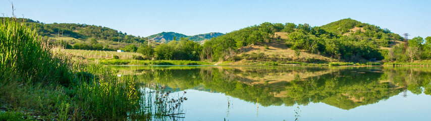 Canvas Print - Forest Lake