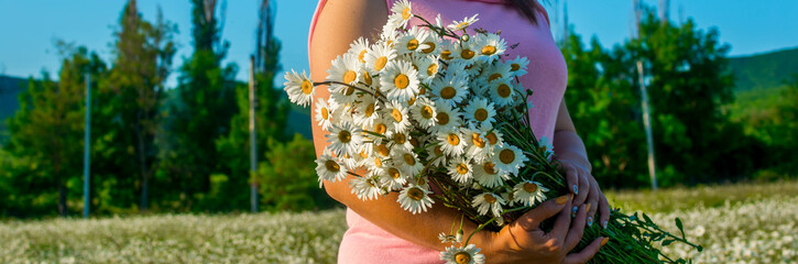 Sticker - Girl in a chamomile field