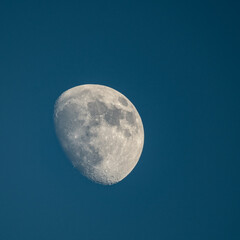 Wall Mural - moon with blue sky