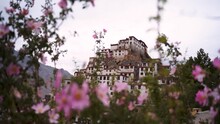Slow Motion Capture Of Key Monastery With Pink Flowers In Foreground.