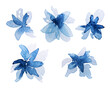 Set of blue abstract watercolor flowers. Hand drawn illustration