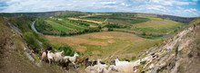 Panorama View Of Old Orhei (orheiul Vechi) Moldova